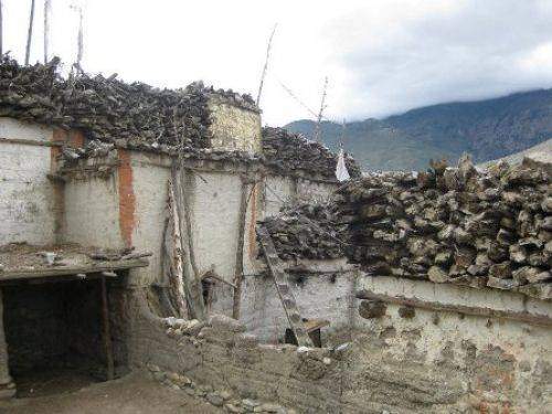 TREKKING IN MUSTANG 2010